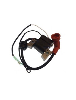 Ignition coil assy marca...